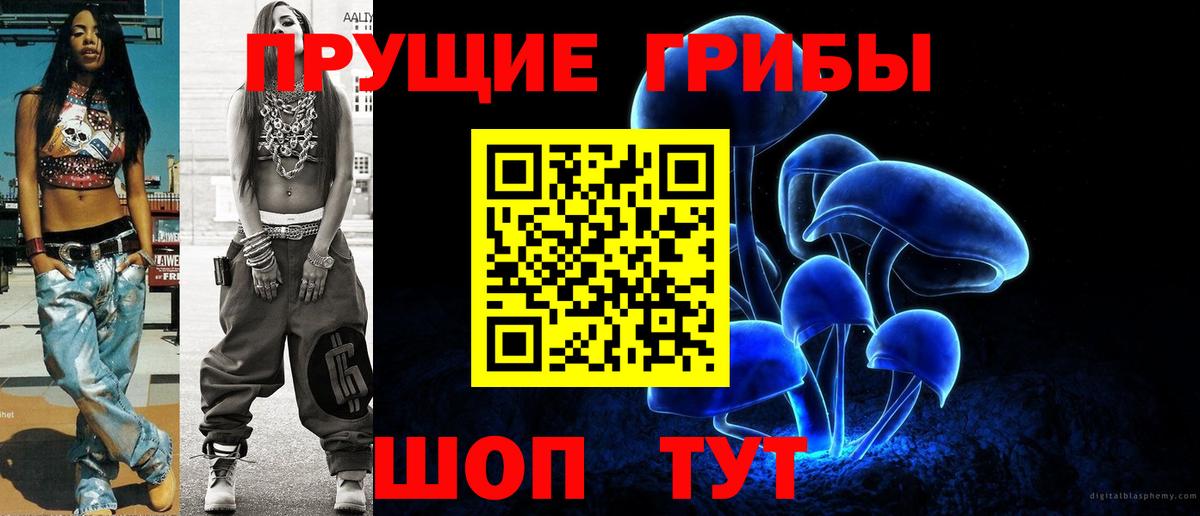 цены наркотик  Вход с VPN  Галлюциногенные грибы Psilocybine cubensis  Курчалой  Галлюциногенные грибы Psilocybe 