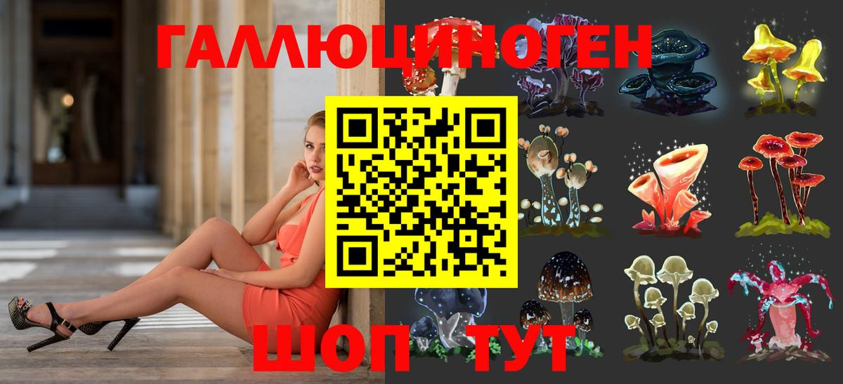 Псилоцибиновые грибы мухоморы Курчалой